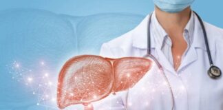 doctor shows liver