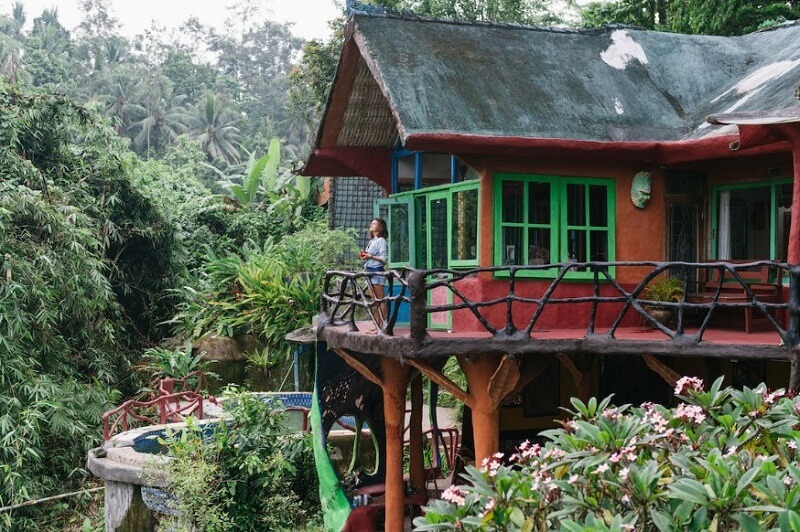 jungle hotel in Goa