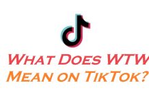 What Does WTW Mean on TikTok