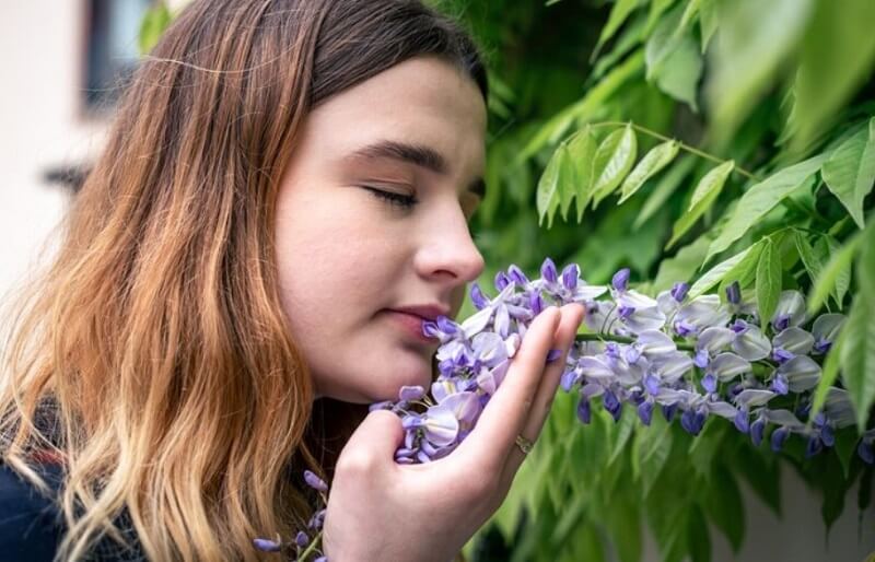 girl-smelling-lavender-flowers