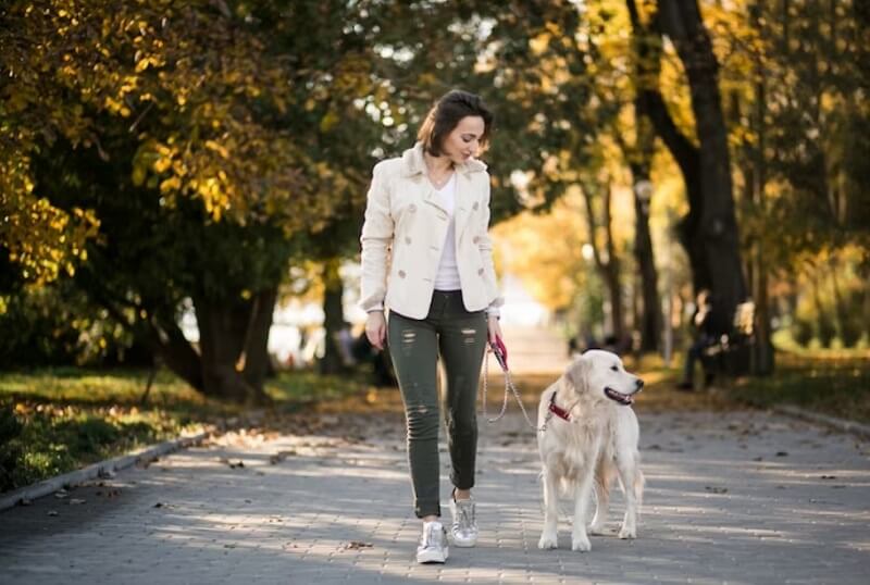 girl-walking-with-dog-in-park