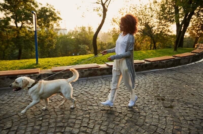 girl-walking-with-dog