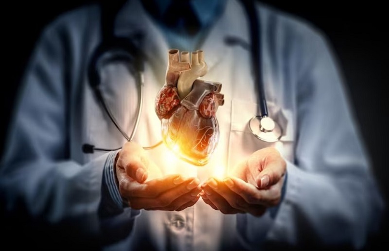 modern-doctor-hold-heart-in-hand