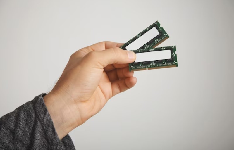 person-hand-holding-ram